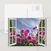 Summer Day, Dahlias in Bloom Briefkaart (Voorkant / Achterkant)