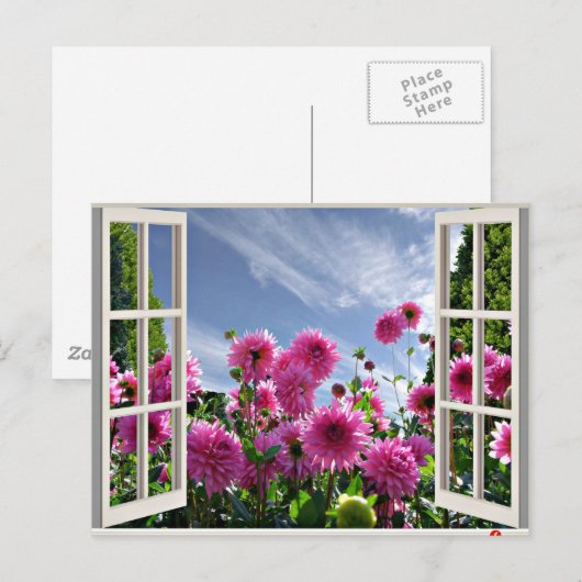 Summer Day, Dahlias in Bloom Briefkaart (Voorkant / Achterkant)