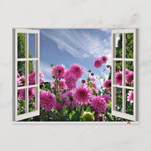 Summer Day, Dahlias in Bloom Briefkaart (Voorkant)