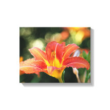 Summer Daylily Canvas Print