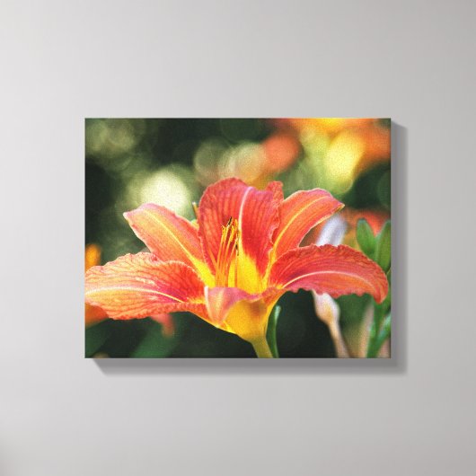 Summer Daylily Canvas Print (Voorkant)