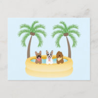 Summer Dogs Swimming pool