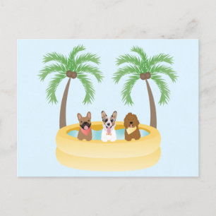Summer Dogs Swimming pool Briefkaart