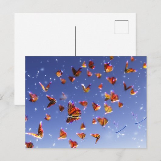 Summer Fantasia Briefkaart (Voorkant / Achterkant)