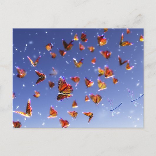 Summer Fantasia Briefkaart (Voorkant)