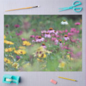 Summer Field of Coneflowers Tissuepapier (Craft)