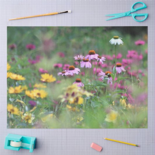 Summer Field of Coneflowers Tissuepapier (Craft)