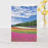 Summer Field Rows of Flowers Kaart (Gele Bloem)