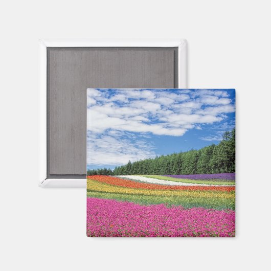 Summer Field Rows of Flowers Magneet (Voorkant / Achterkant)