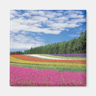 Summer Field Rows of Flowers Magneet