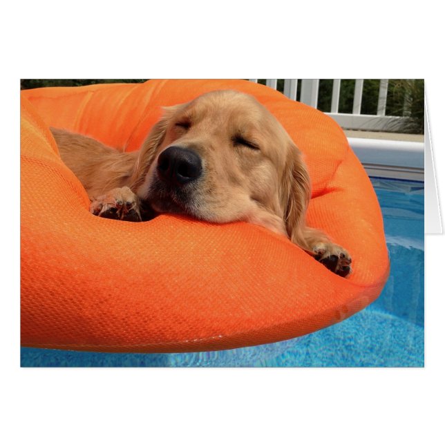 Summer Float (Voorkant Horizontaal)