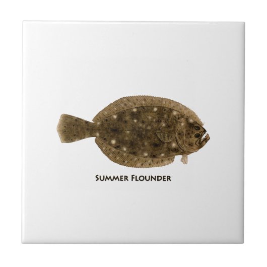 Summer Flounder Tegeltje (Voorkant)