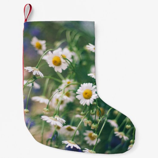 Summer flower pattern in meadow with blue an kleine kerstsok (Voorkant)