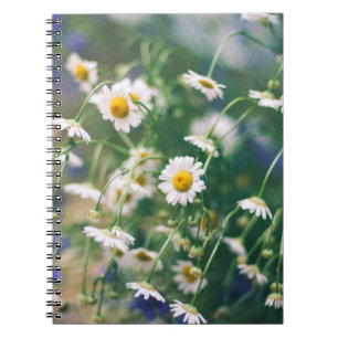Summer flower pattern in meadow with blue an notitieboek