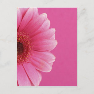 Summer Flowers Briefkaart