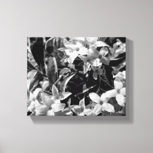 Summer Flowers Canvas Afdruk