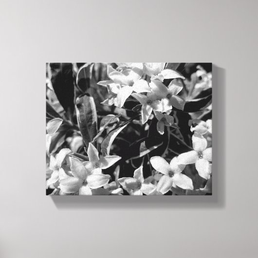 Summer Flowers Canvas Afdruk (Voorkant)