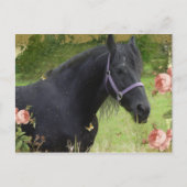 Summer Flowers Feestdagenkaart (Voorkant)