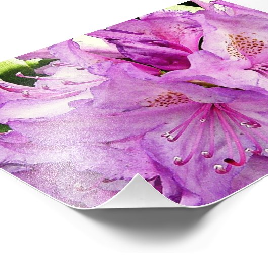 Summer Flowers Foto Afdruk (Hoek)