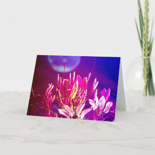 Summer Flowers Kaart