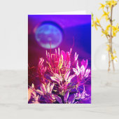 Summer Flowers Kaart (Gele Bloem)