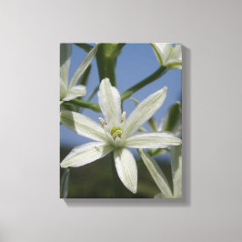 Summer Flowers Wrapped Canvas