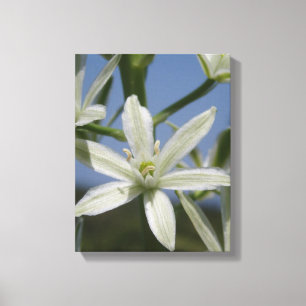 Summer Flowers Wrapped Canvas Afdruk