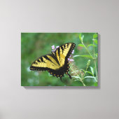 Summer Fly-ers. Canvas Afdruk (Voorkant)