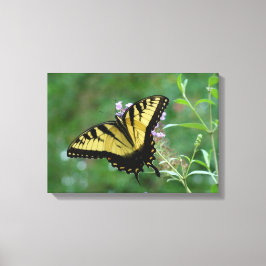 Summer Fly-ers. Canvas Afdruk