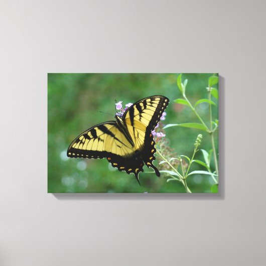 Summer Fly-ers. Canvas Afdruk (Voorkant)