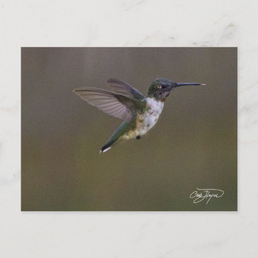 Summer Fun Briefkaart (Voorkant)