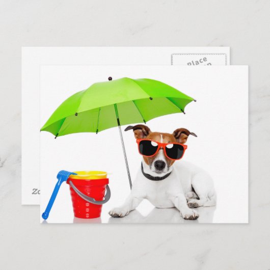 Summer Fun Briefkaart (Voorkant / Achterkant)