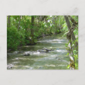 Summer Fun... Briefkaart (Voorkant)