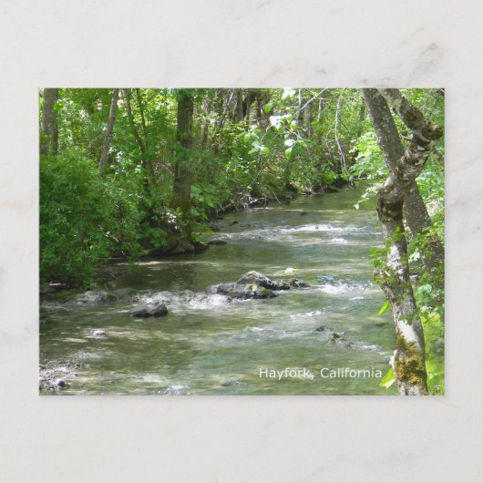 Summer Fun... Briefkaart (Voorkant)