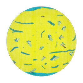 Summer Fun Cutting Board Snijplank