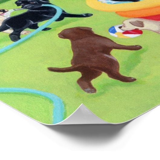 Summer Fun Labradors Poster (Hoek)