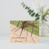 "Summer Fun!" Mosquito Art Postcard Briefkaart (Staand voorkant)