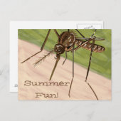 "Summer Fun!" Mosquito Art Postcard Briefkaart (Voorkant / Achterkant)