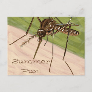 "Summer Fun!" Mosquito Art Postcard Briefkaart