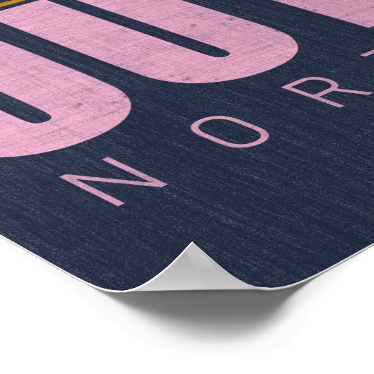 Summer Fun OBX Outer Banks North Carolina  Poster (Hoek)