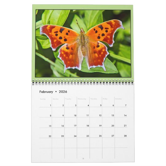 Summer Garden Agenda Kalender (Feb 2026)