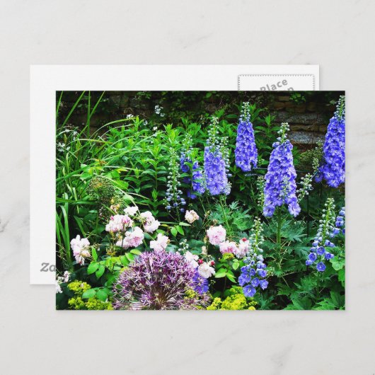 Summer Garden Briefkaart (Voorkant / Achterkant)