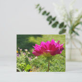 Summer Garden Briefkaart (Staand voorkant)