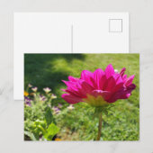 Summer Garden Briefkaart (Voorkant / Achterkant)