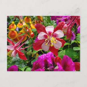 Summer Garden briefkaart