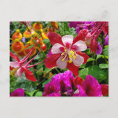 Summer Garden briefkaart (Voorkant)