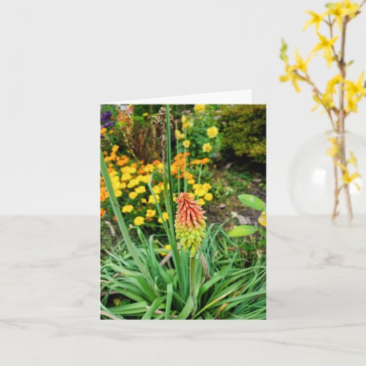 Summer Garden Kaart (Gele Bloem)