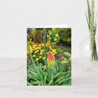 Summer Garden Kaart