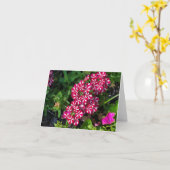 Summer Garden Kaart (Gele Bloem)