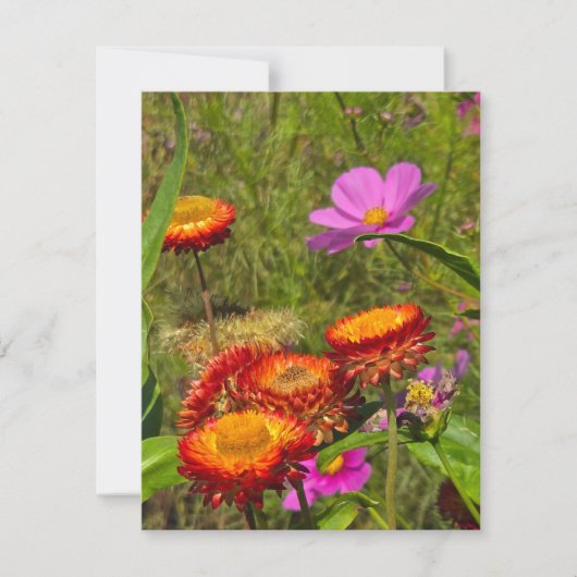 Summer Garden RSVP Kaartje (Voorkant)